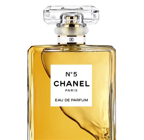 chanel perfume no 6|chanel no 5 perfume online.